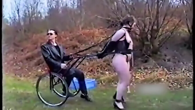 60 Fps Video Of Bdsm Pony Training Session